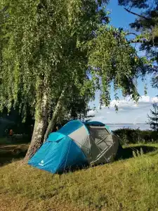 ГаммаСофт - 3