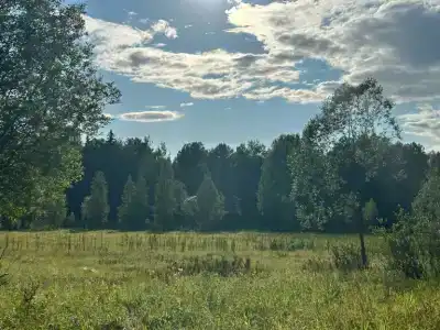 Глушь - 38