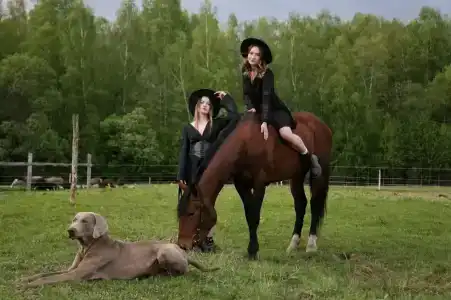 Бородино - 1