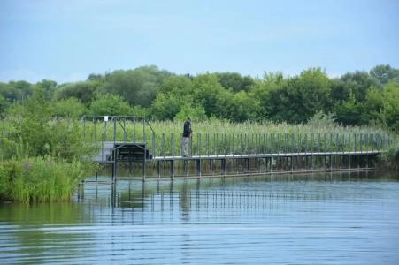 ЭкоОстров - 8