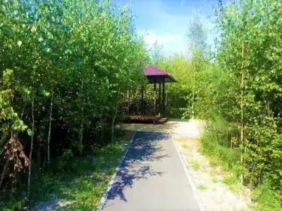 Земляничный - 59