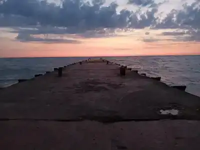 Сосновый бор - 18