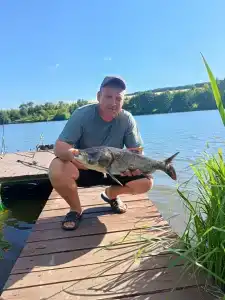 Золотой карп - 2
