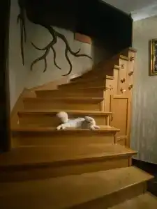 Гостевой Дом у Сабишки - 5