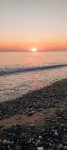 Фрунзенец - 31