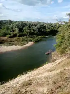 Простоквашино - 87