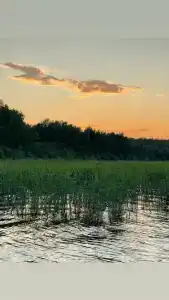 Мантиансаари - 69