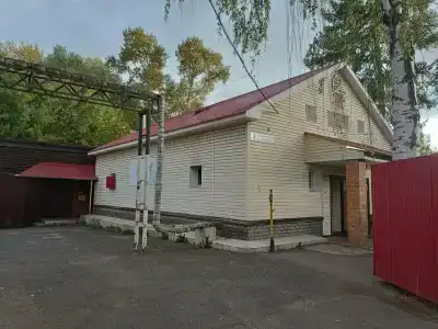 Дельфин - 3