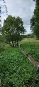 Велесов лес - 35