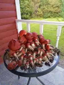 База отдыха Рюттю - 89