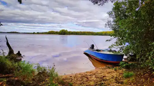 Белый Яр - 40