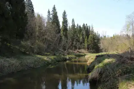Рядом Даль - 12