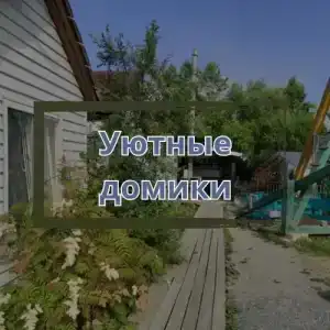 Золотари 5+ - 0