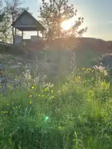 Вареновка - 60