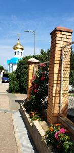 Вязовая роща - 80