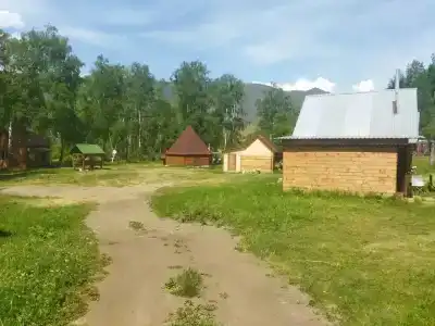 Алтын - 17