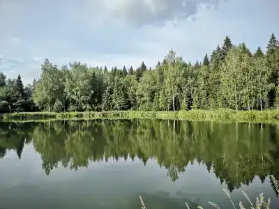 Горшиха - 23