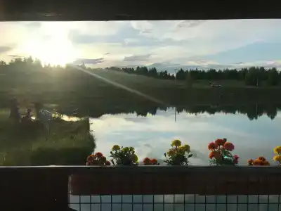 Экоферма в Василево - 3