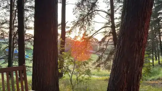 T-Park, тренинговый парк - 38