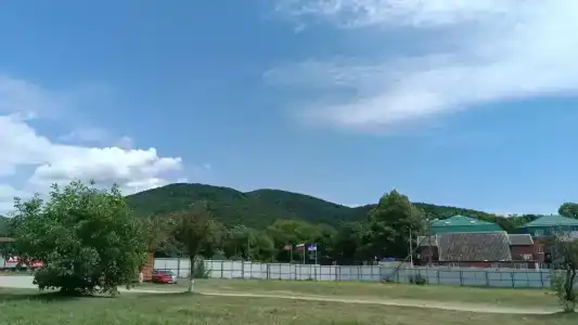 Грушёвый сад - 18