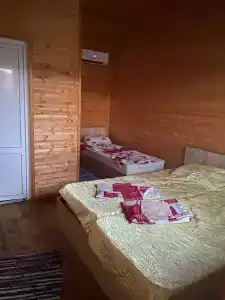 Феникс - 47