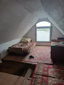 Золотая рыбка - 7