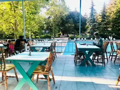 Магнолия - 13
