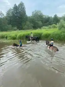 Гостецкий двор - 3