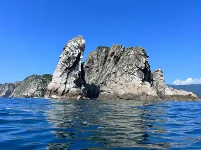 Чинтамани кемп - 0