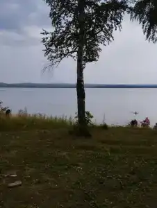 Лесные эльфы - 35