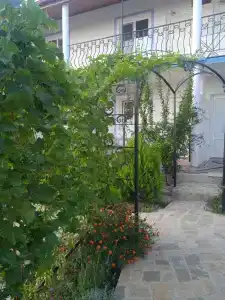 Дельфи - 40