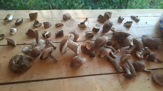 Заповедник - 48