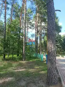 Пралеска - 3