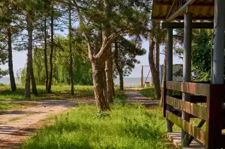 Бриз - 49