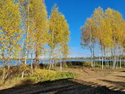 Банный Остров - 82