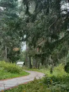 Волга - 6
