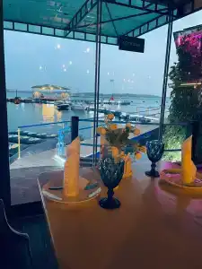 Сазан - 50