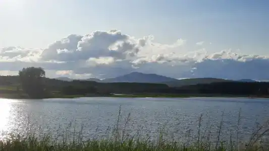 Таежная Рось - 36