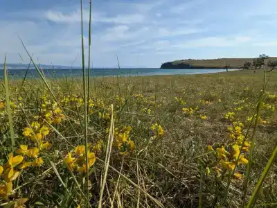 Байкал-Бабр - 22