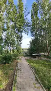 Жемчужина - 21