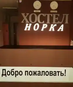 Норка - 4