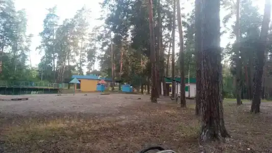 Сура - 58