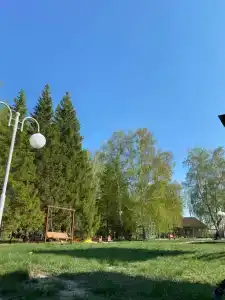 Березка - 36