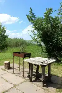 Голубая волна - 11