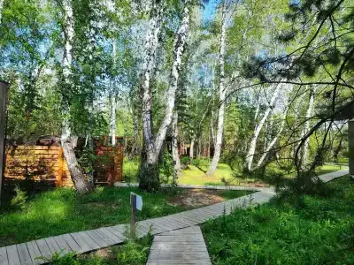 ForestHouse Лесной домик - 12
