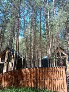 М5 Рент Хаус - 68