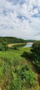 Андреевские паруса - 35