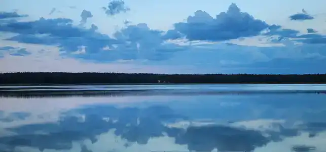 Лесное озеро - 19