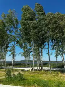 Банный Остров - 59