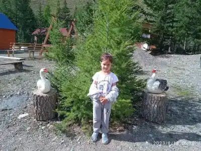 Лебедка - 26